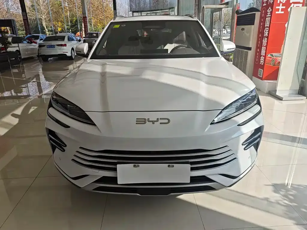 BYD PLUS New Energy 2025 из CN, фото 2