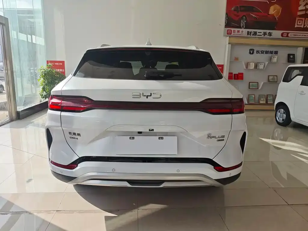 BYD PLUS New Energy 2025 из CN, фото 5