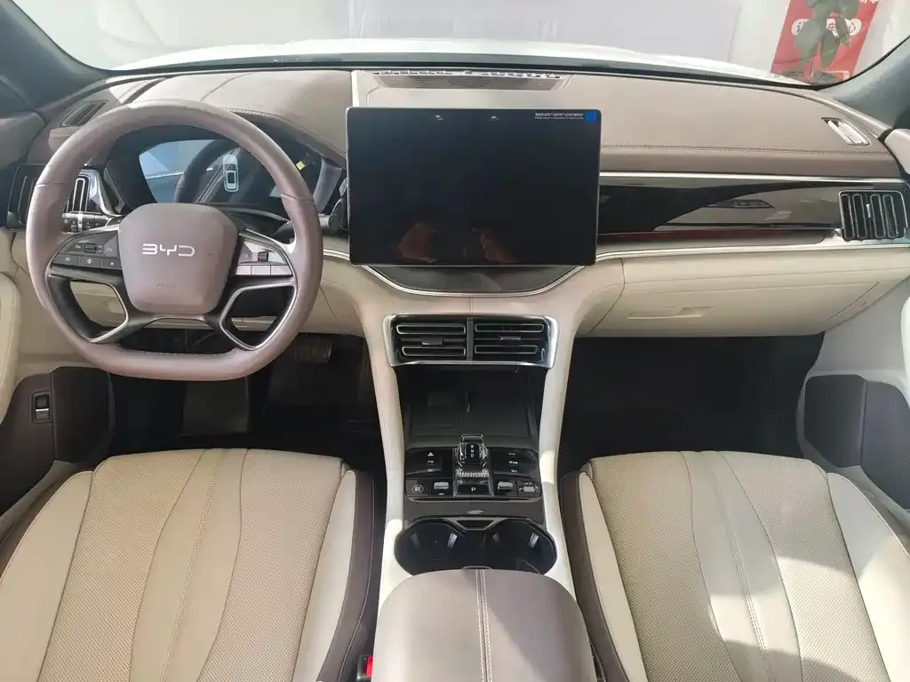 BYD PLUS New Energy 2025 из CN, фото 9