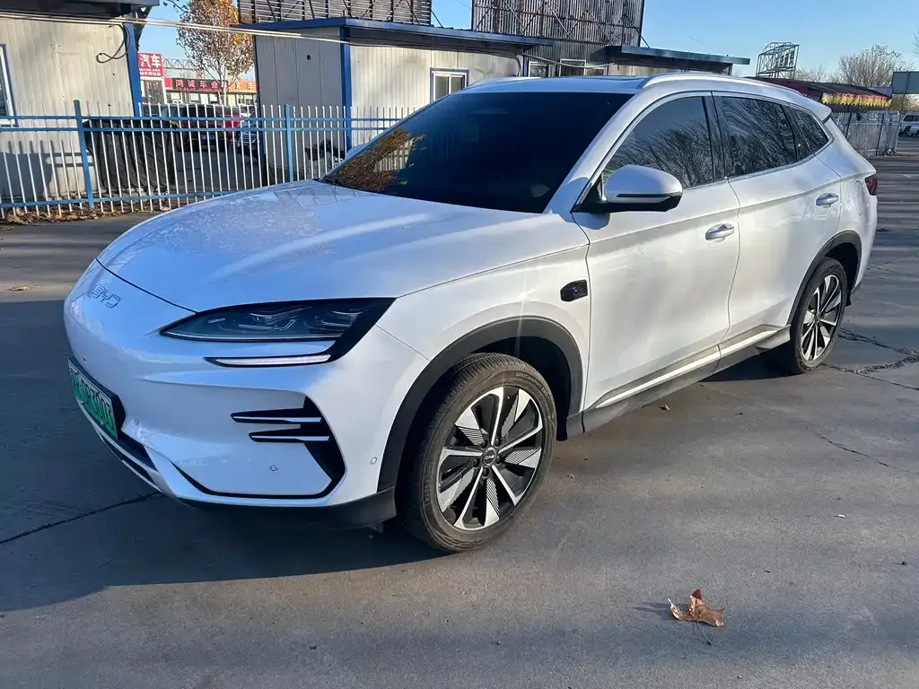 BYD PLUS New Energy — фото 1