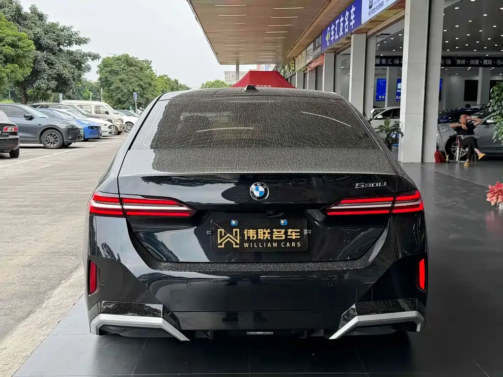 BMW 5 Series 2024 из CN, фото 7