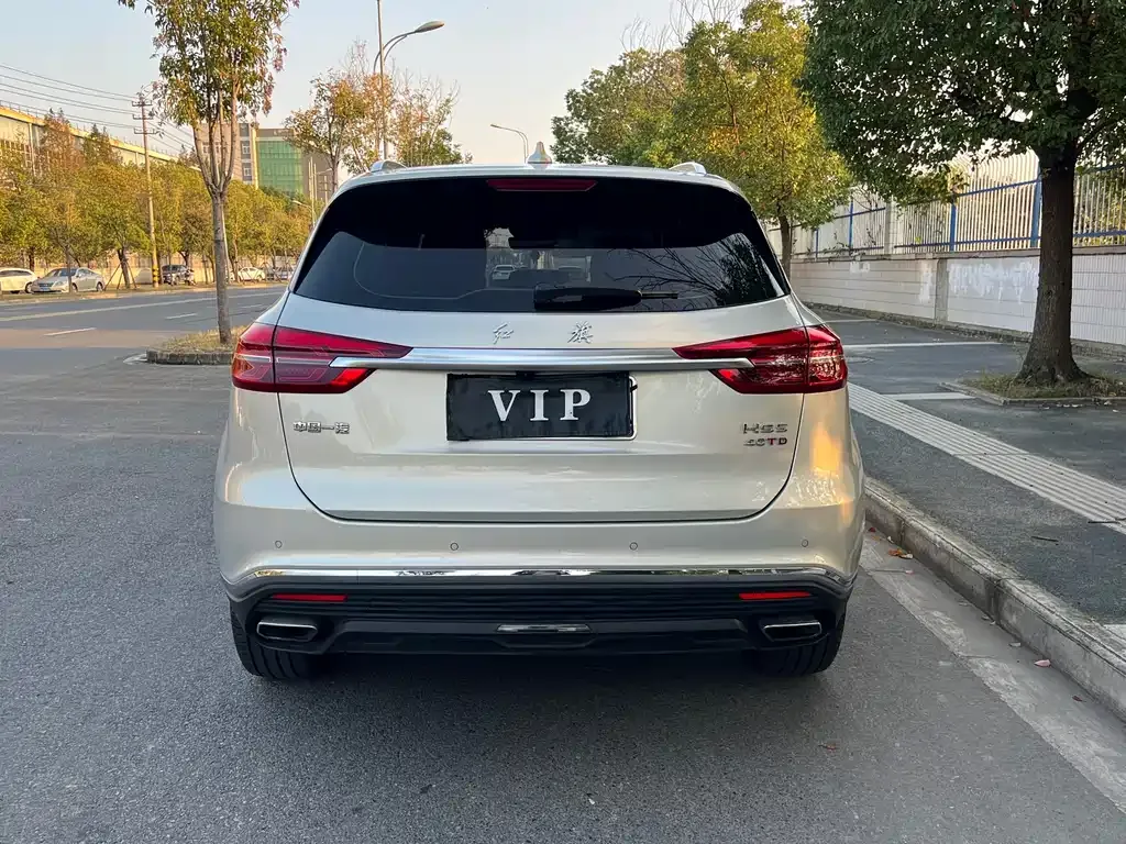 Hongqi HS5 2022 из CN, фото 6