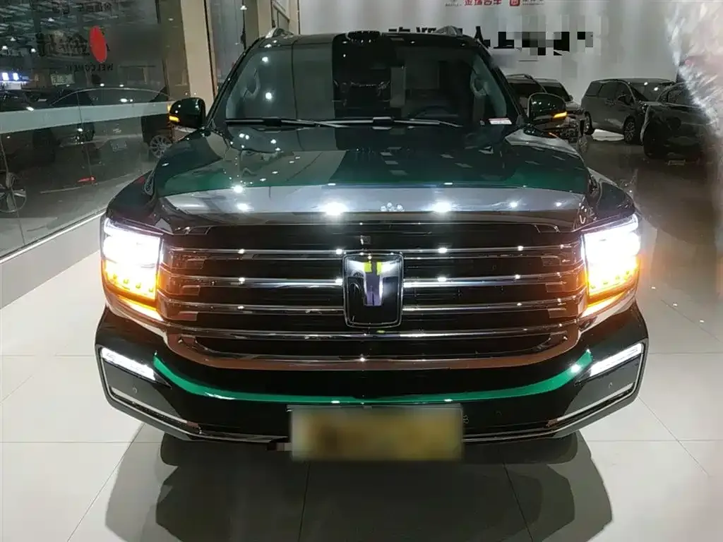 Tank 500 New Energy 2025 из CN, фото 3