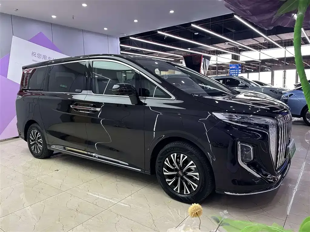 Hongqi HQ9 PHEV 2024 из CN, фото 3