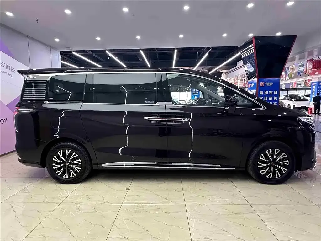 Hongqi HQ9 PHEV 2024 из CN, фото 5