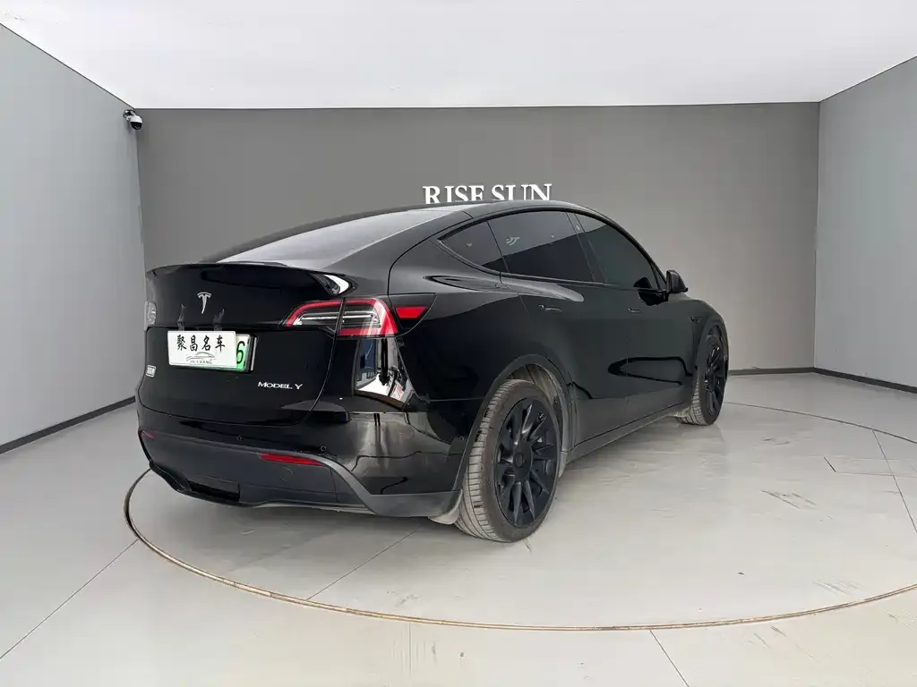 Tesla Model Y 2023 из CN, фото 7