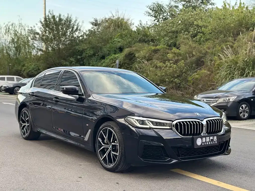 BMW 5 Series 2023 из CN, фото 3