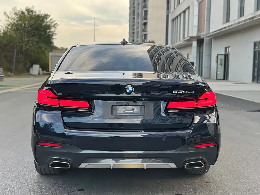 BMW 5 Series 2023 из CN, фото 4
