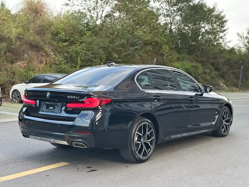 BMW 5 Series 2023 из CN, фото 6