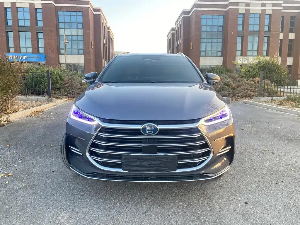 BYD Tang New Energy 2023 из CN, фото 2