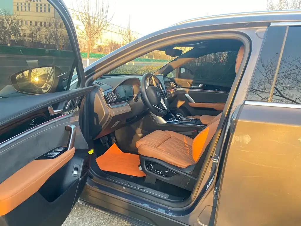 BYD Tang New Energy 2023 из CN, фото 4