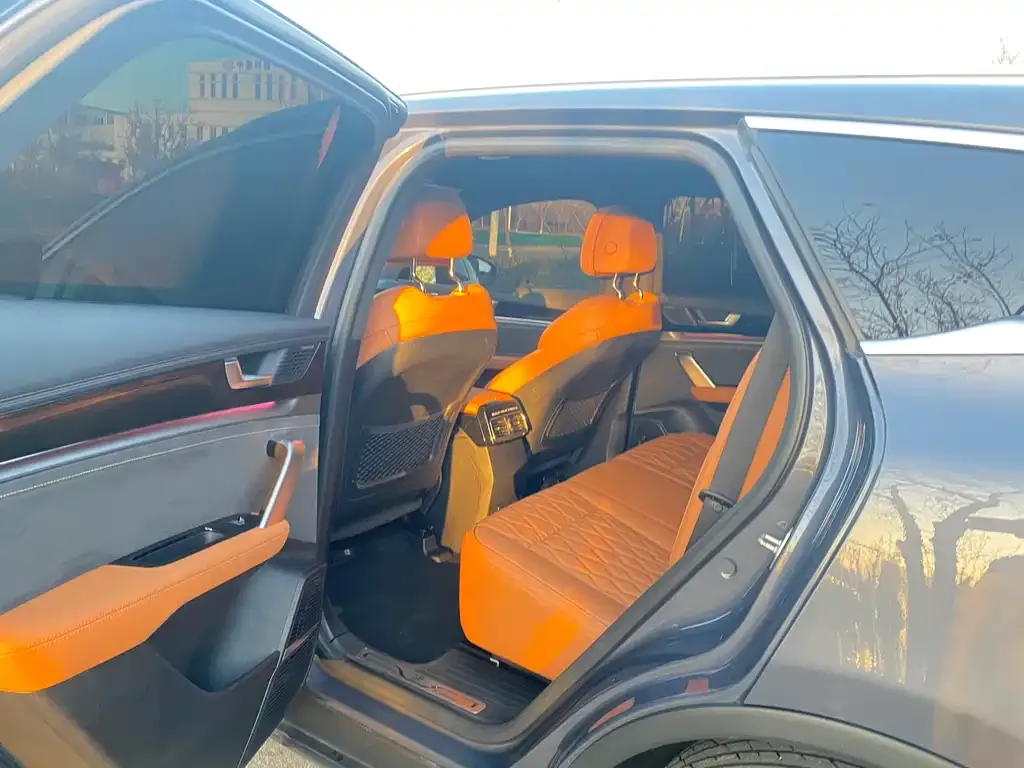 BYD Tang New Energy 2023 из CN, фото 9