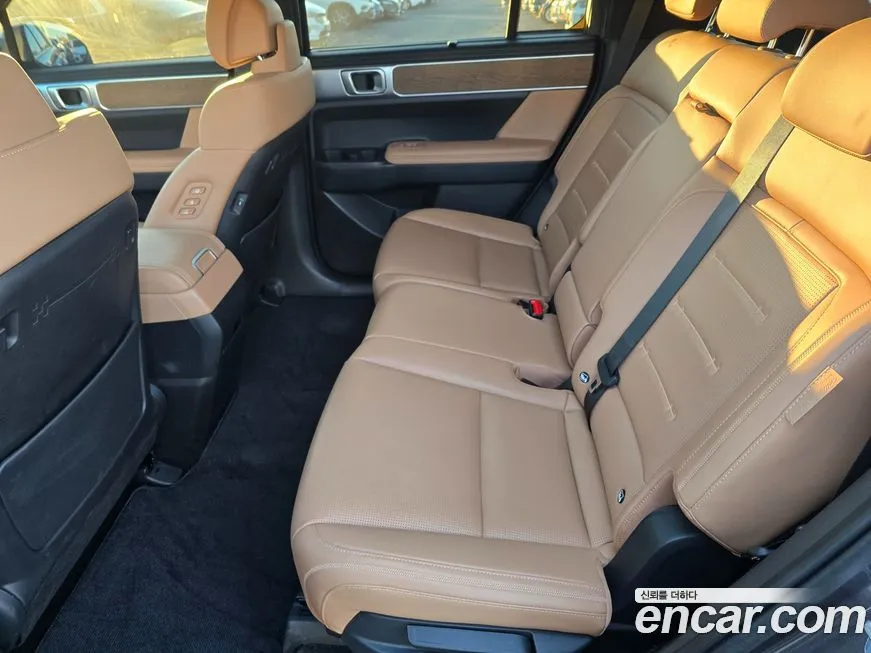 [object Object] Santafe 2024 из KR, фото 8