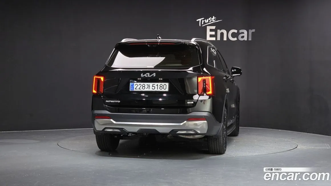 [object Object] Sorento 2025 из KR, фото 4