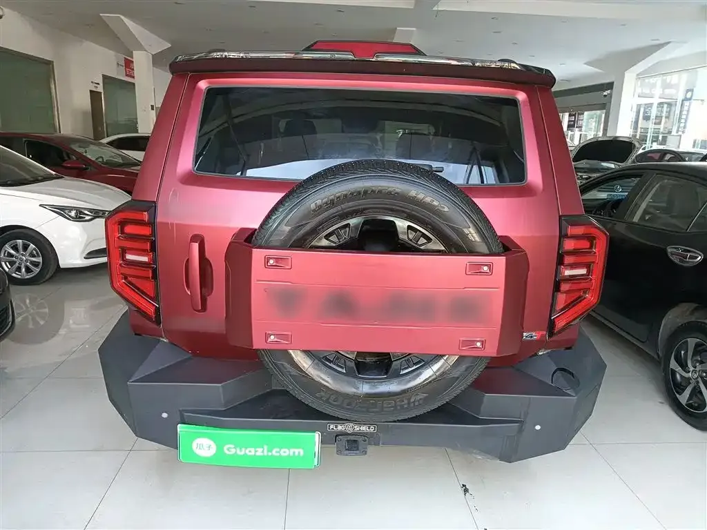 Tank 400 New Energy 2024 из CN, фото 6