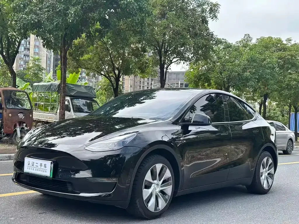 Tesla Model Y 2022 из CN, фото 1