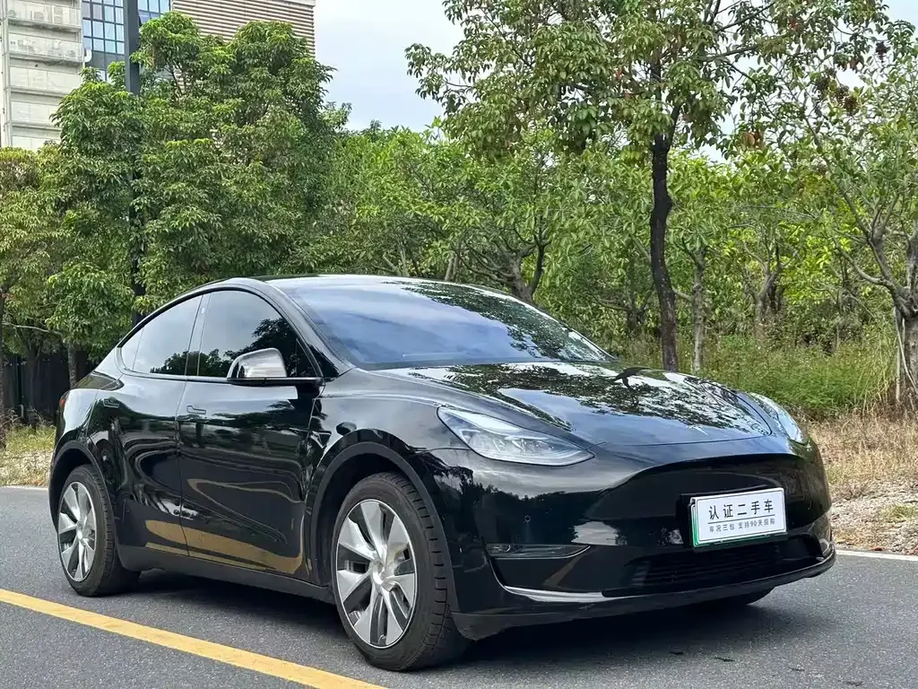 Tesla Model Y 2022 из CN, фото 3