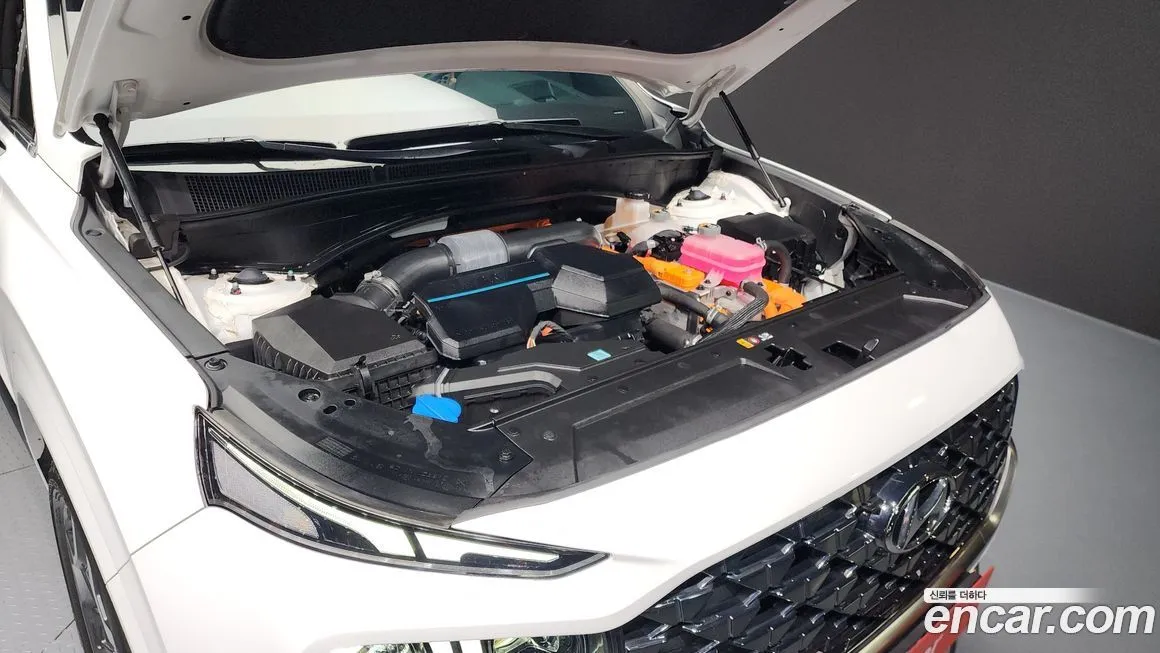 Hyundai Santafe 2022 из KR, фото 6