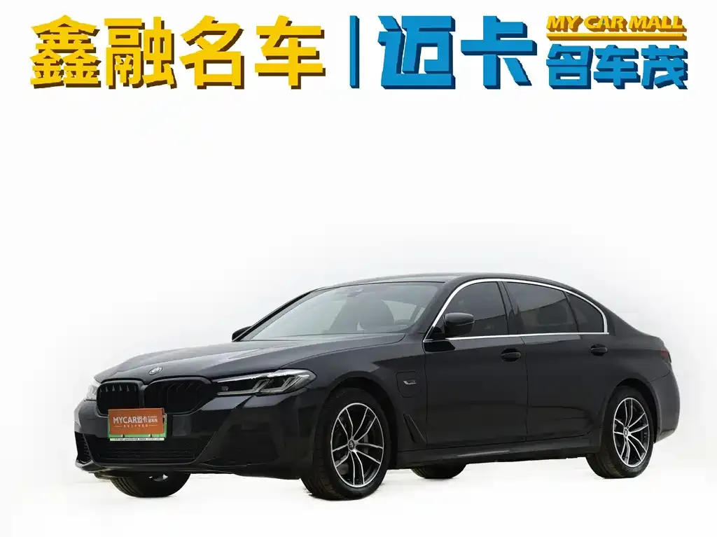 BMW 5 Series New Energy 2023 из CN, фото 1