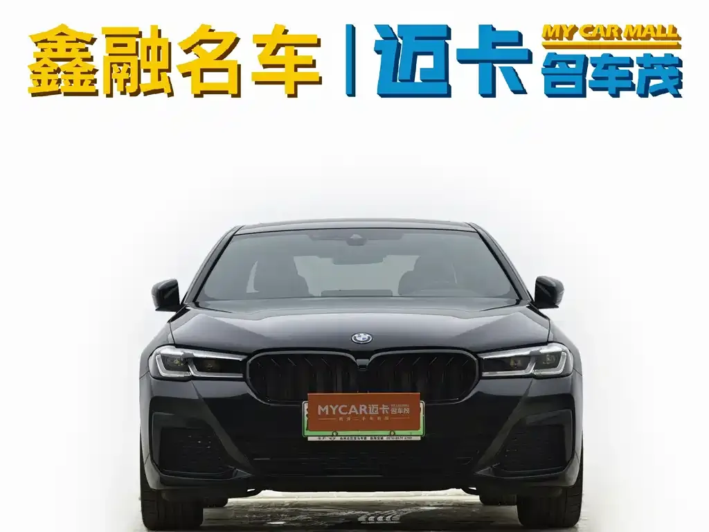 BMW 5 Series New Energy 2023 из CN, фото 2