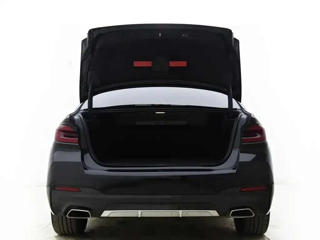 BMW 5 Series New Energy 2023 из CN, фото 4