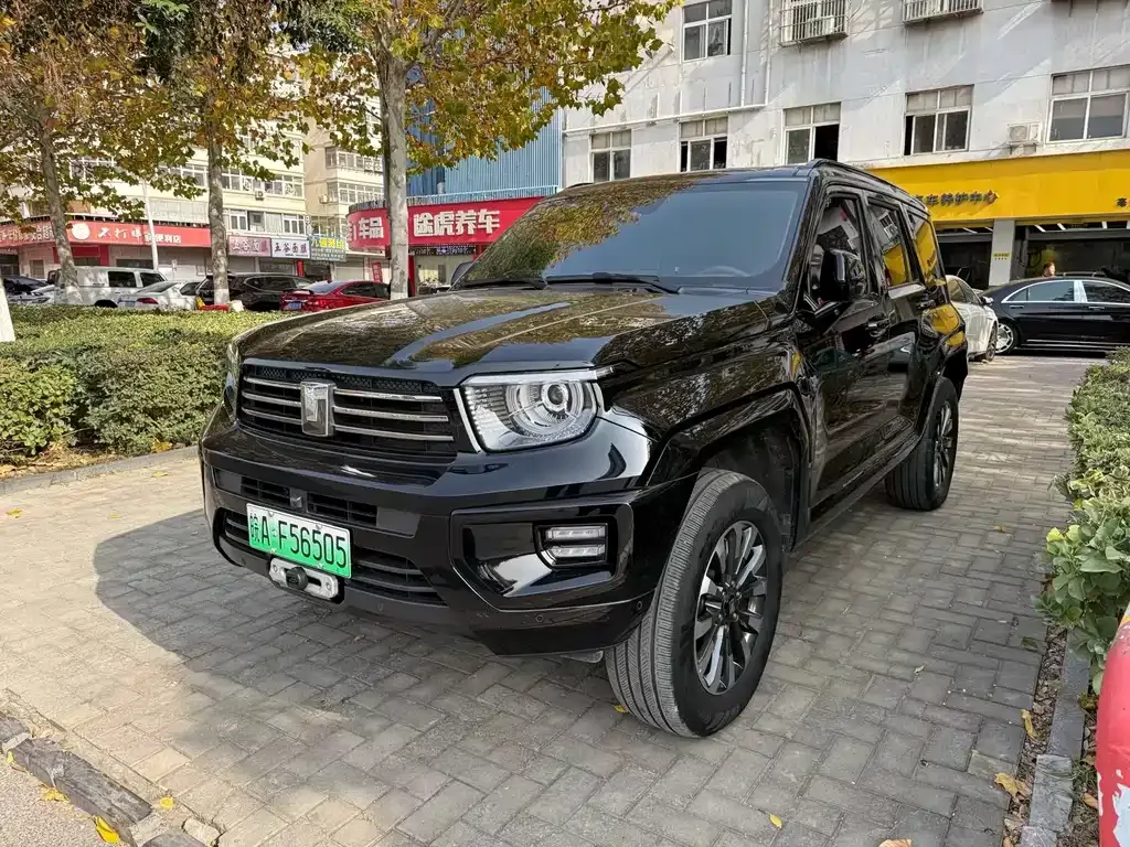 Tank 700 New Energy 2024 из CN, фото 1