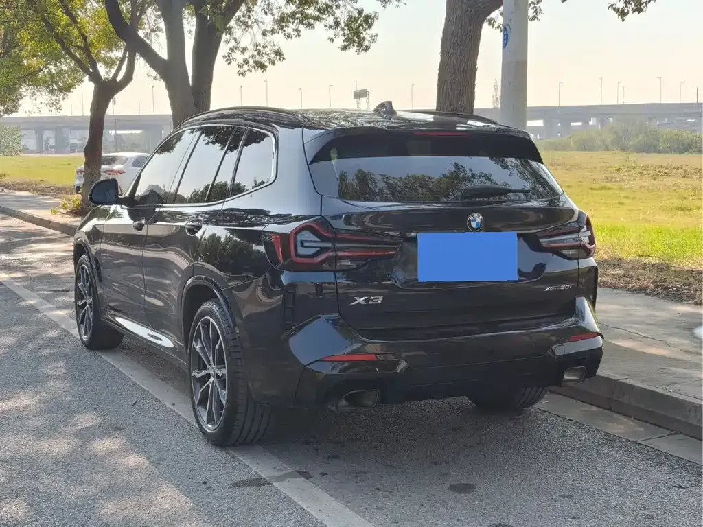 BMW X3 2021 из CN, фото 6