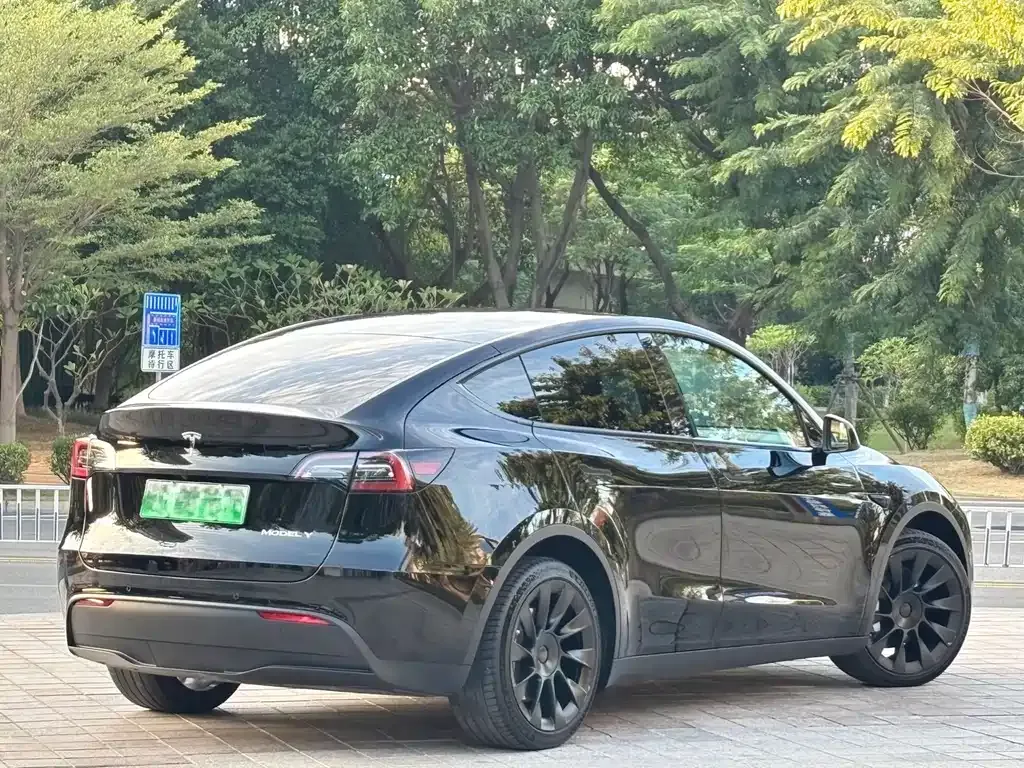 Tesla Model Y — фото 10