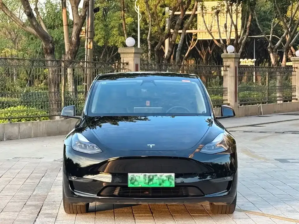Tesla Model Y — фото 2