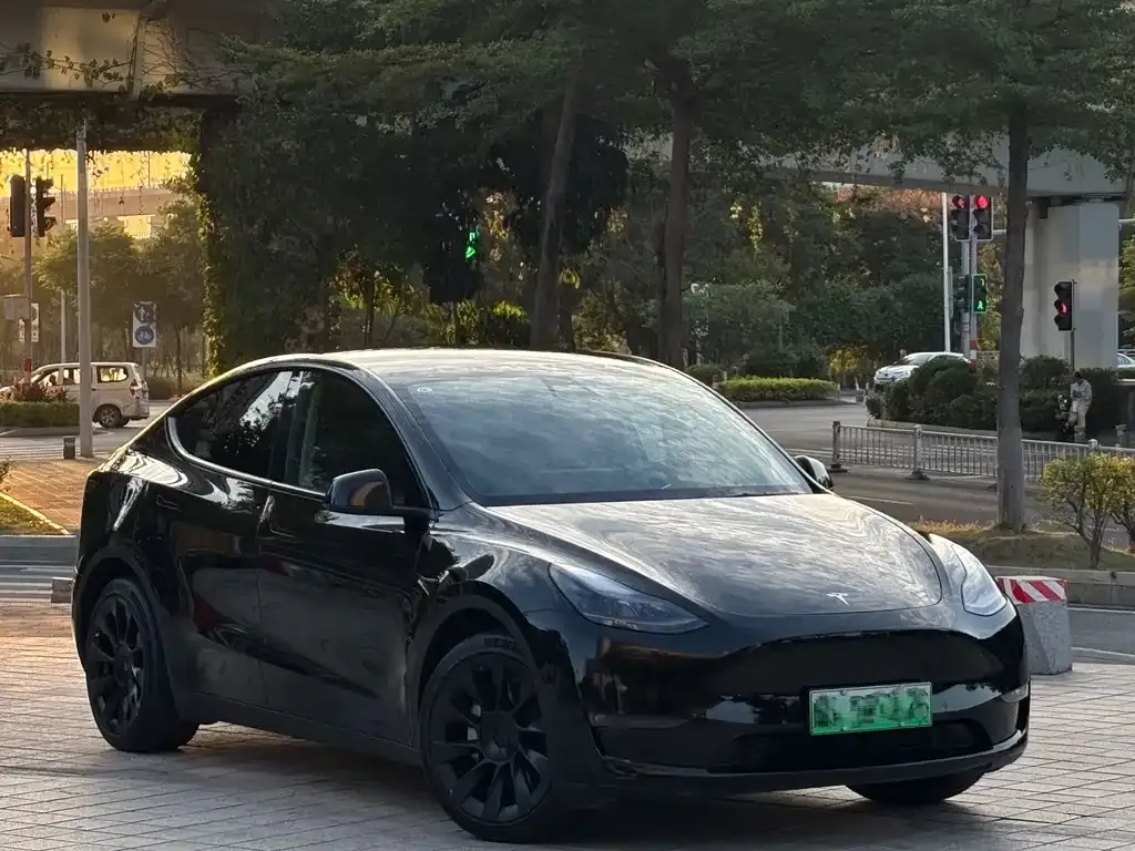 Tesla Model Y — фото 3