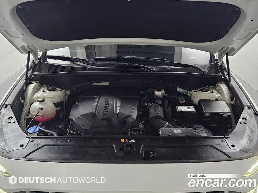 Hyundai Santafe 2021 из KR, фото 6