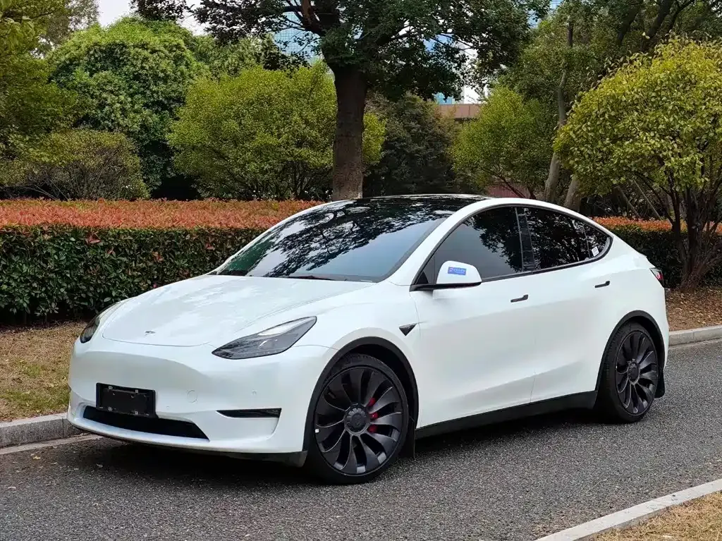 Tesla Model Y 2023 из CN, фото 1