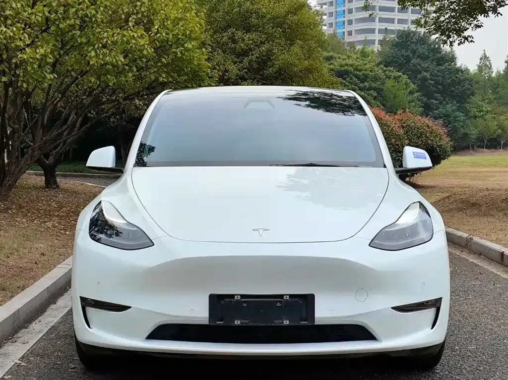 Tesla Model Y 2023 из CN, фото 2