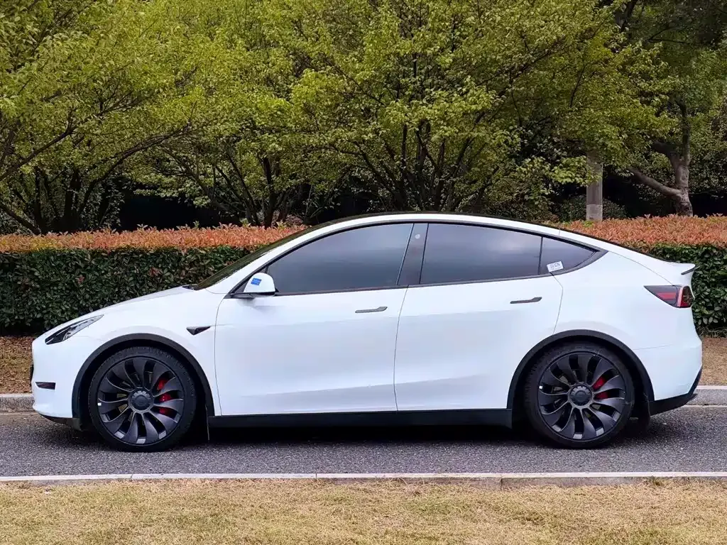 Tesla Model Y 2023 из CN, фото 3
