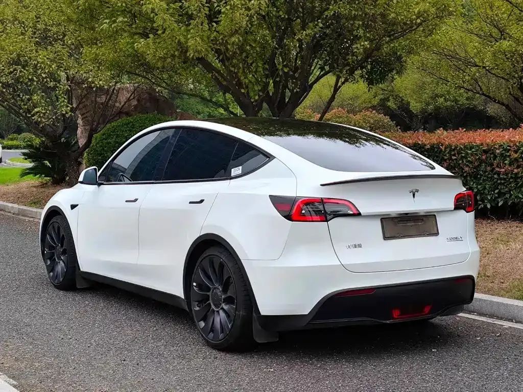Tesla Model Y 2023 из CN, фото 4