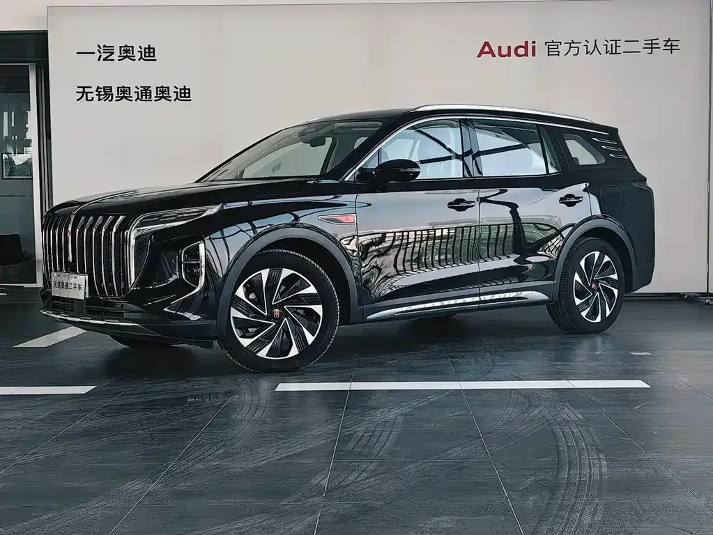 Hongqi HS7 2024 из CN, фото 1