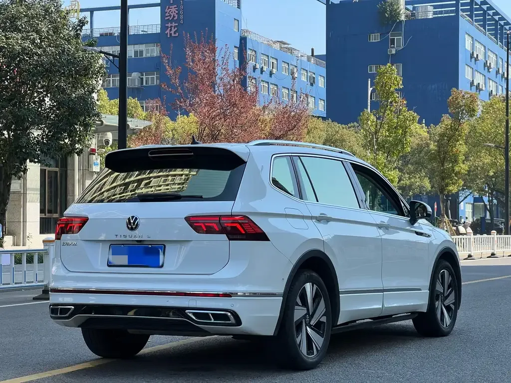 Volkswagen Tiguan L 2023 из CN, фото 6