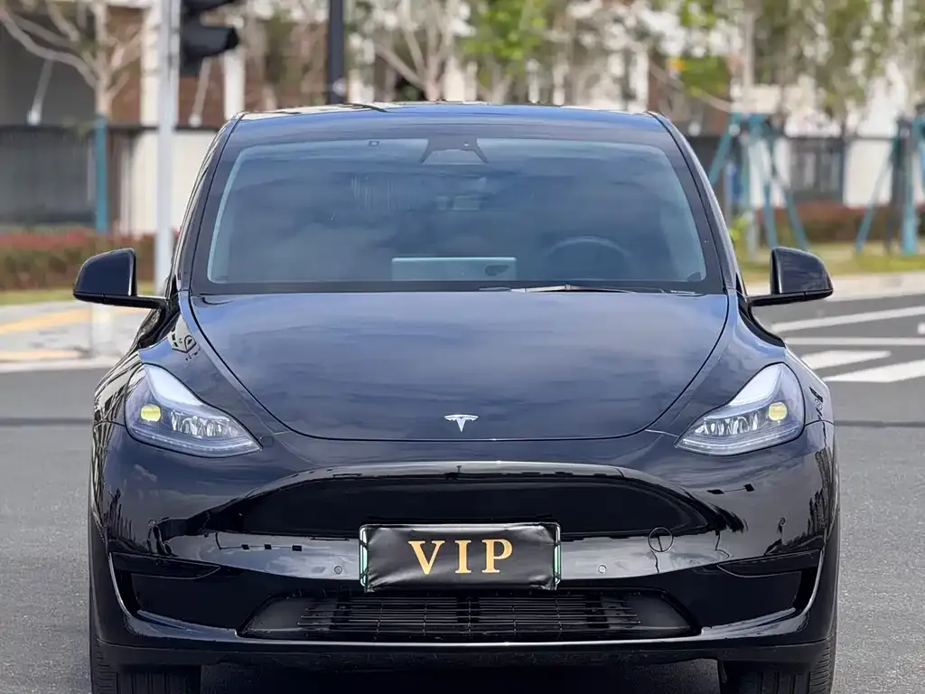 Tesla Model Y — фото 2