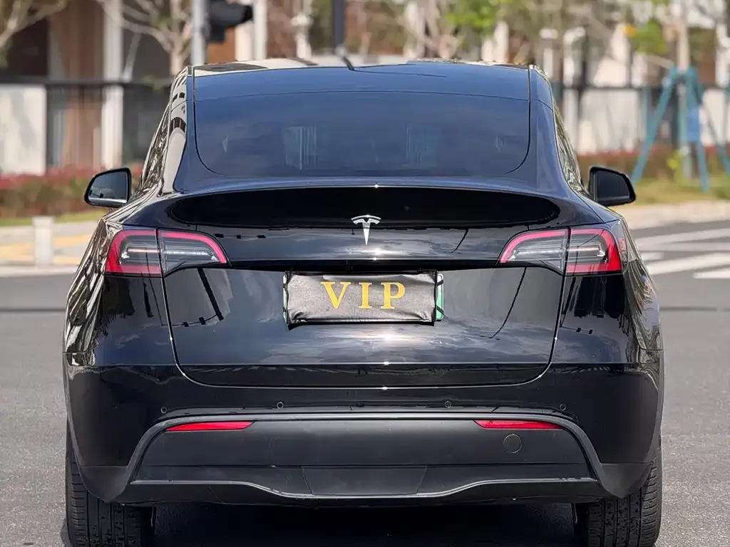 Tesla Model Y — фото 9