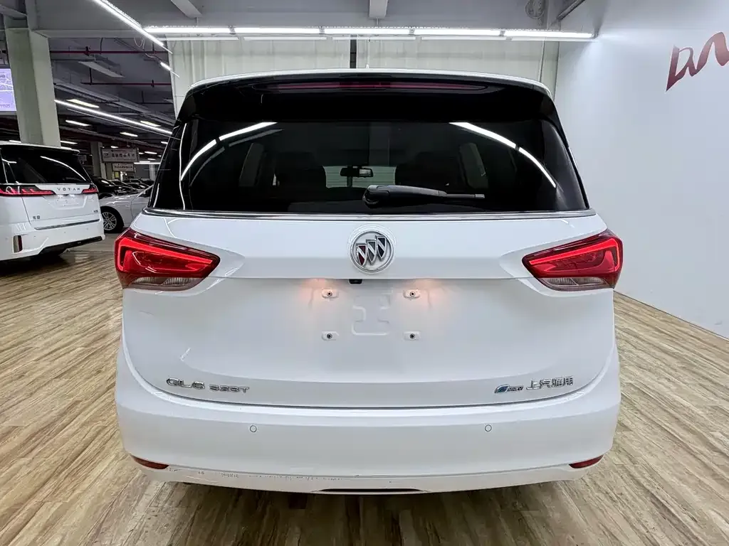 Buick GL6 2022 из CN, фото 7