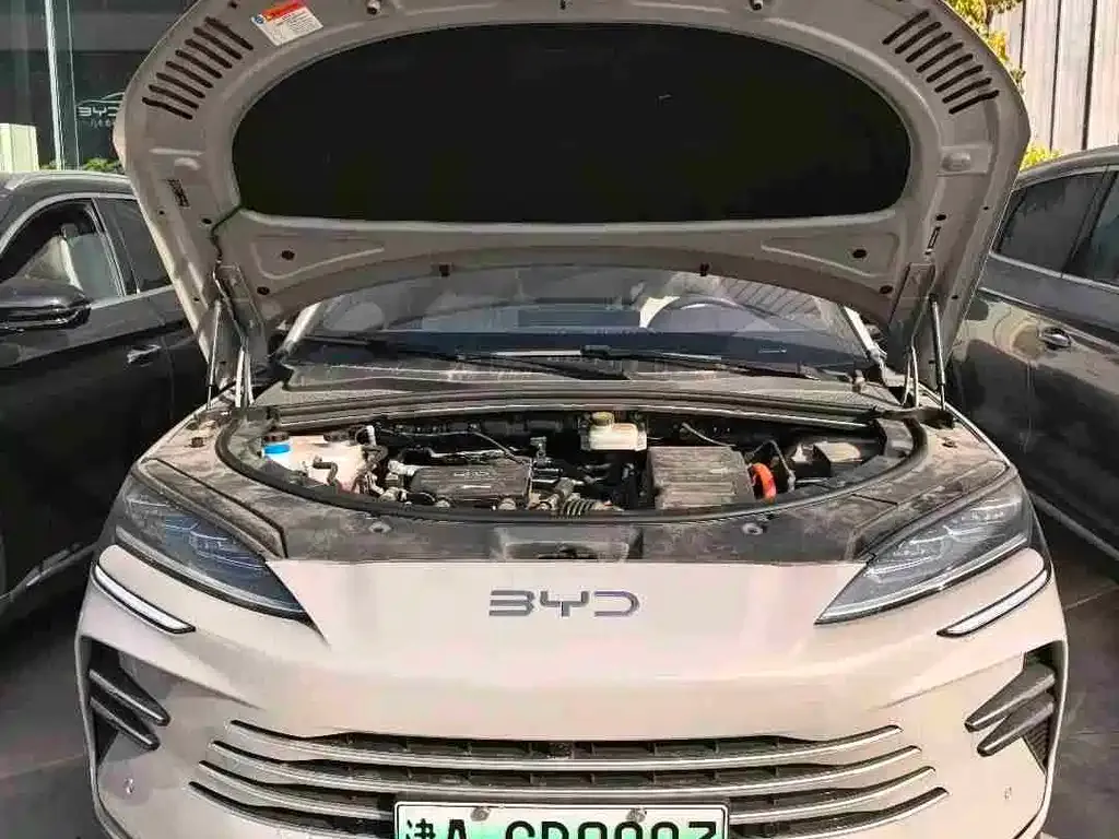 BYD PLUS New Energy 2025 из CN, фото 10