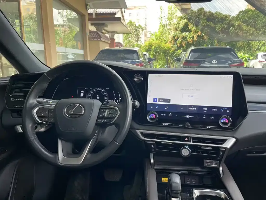 Lexus RX — фото 9