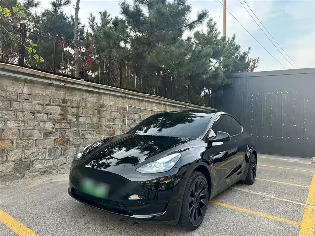 Tesla Model Y — фото 1