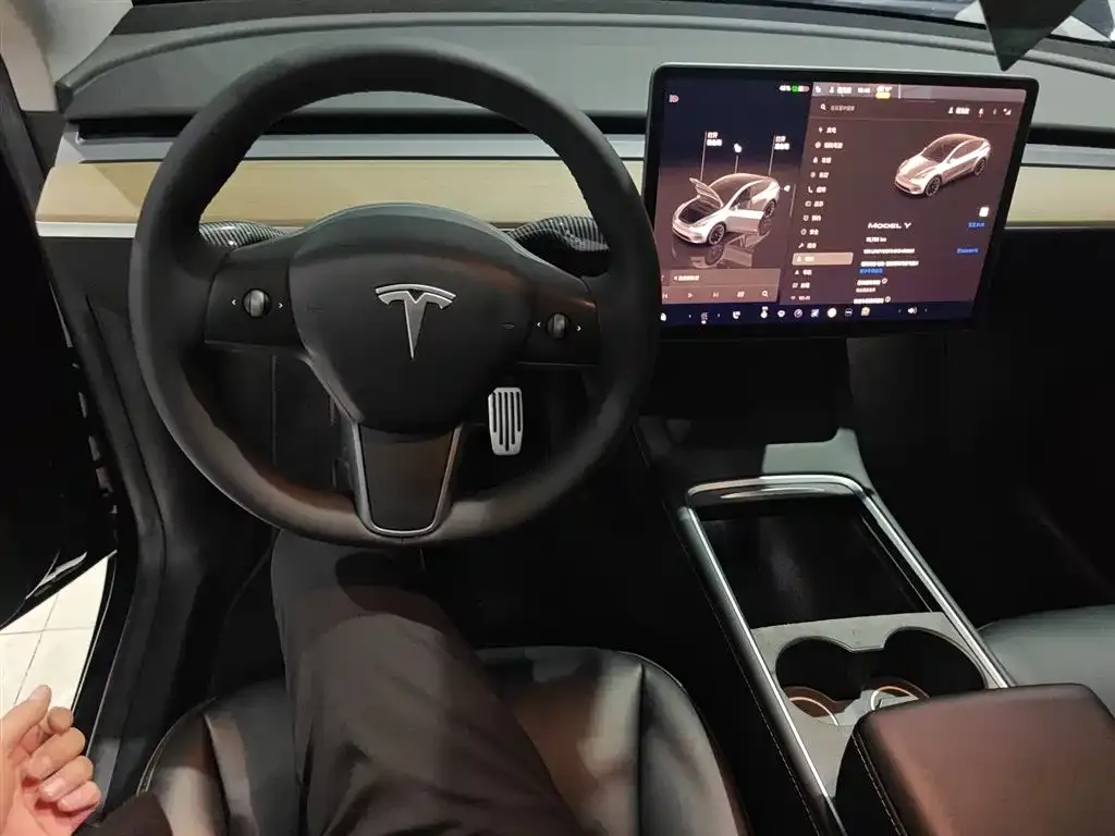 Tesla Model Y — фото 10