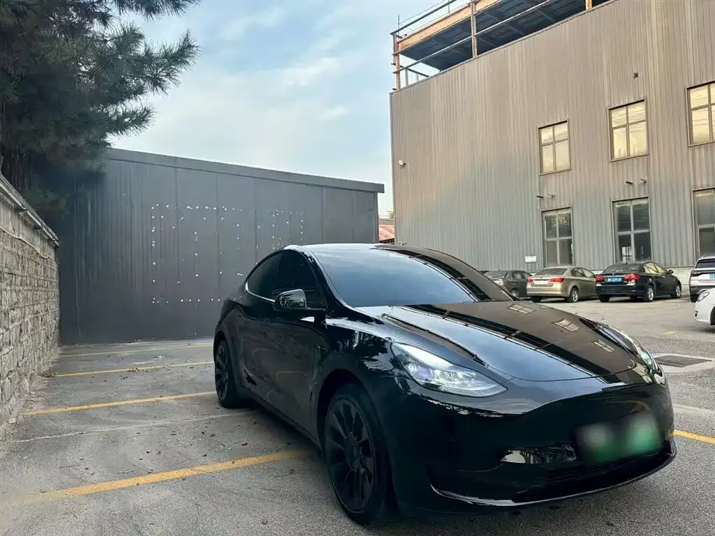 Tesla Model Y — фото 4