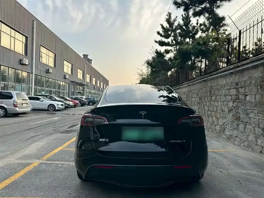 Tesla Model Y — фото 6