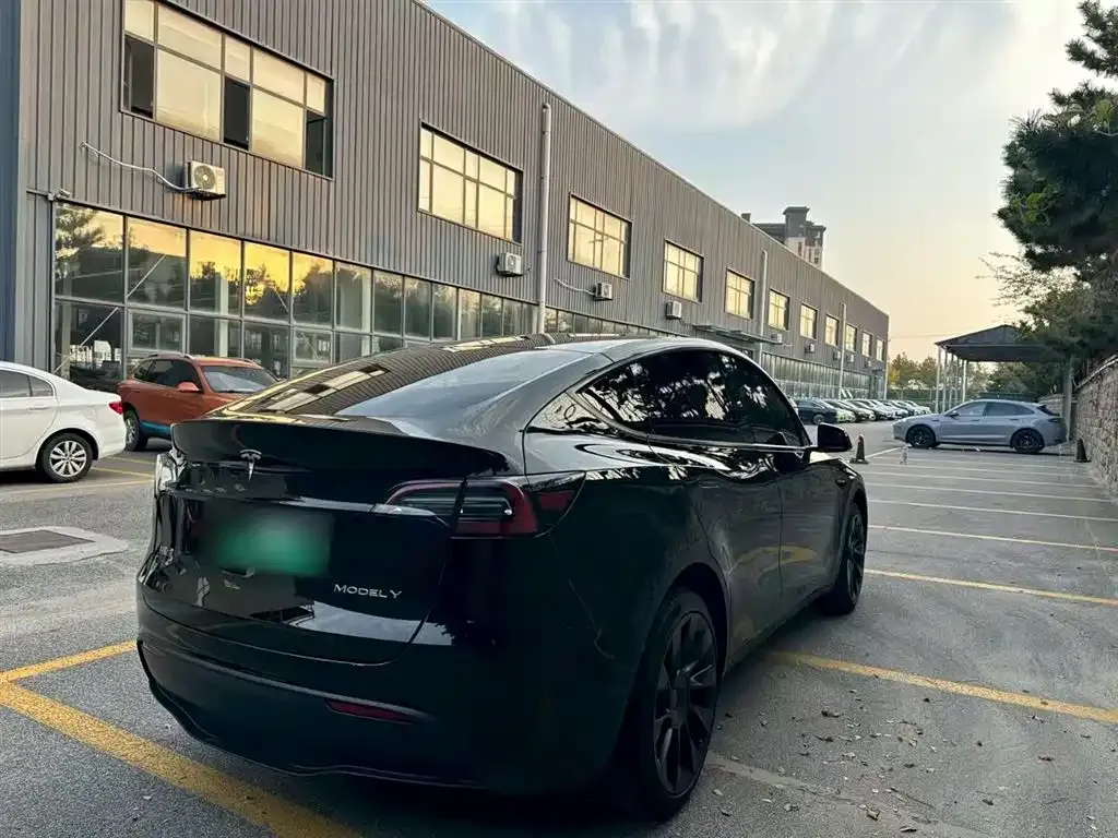 Tesla Model Y — фото 7