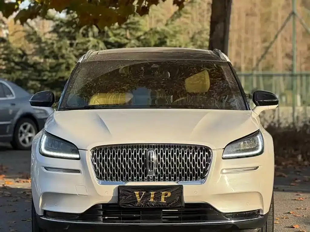 Lincoln Corsair 2022 из CN, фото 2