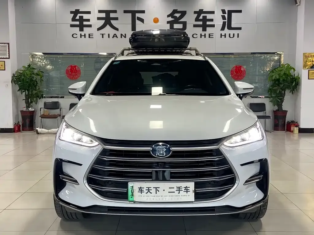 BYD Tang New Energy 2022 из CN, фото 2