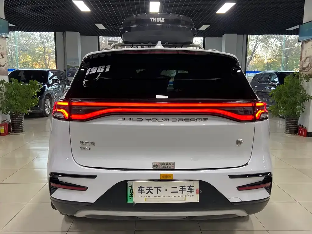 BYD Tang New Energy 2022 из CN, фото 5